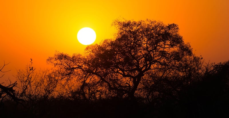 Kruger National Park, South Africa